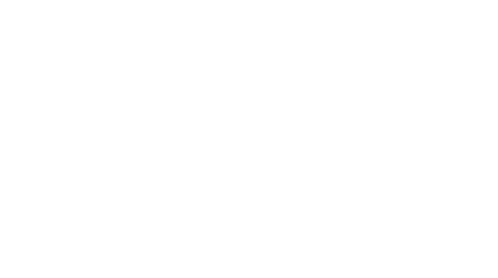 logo netfly agency 1